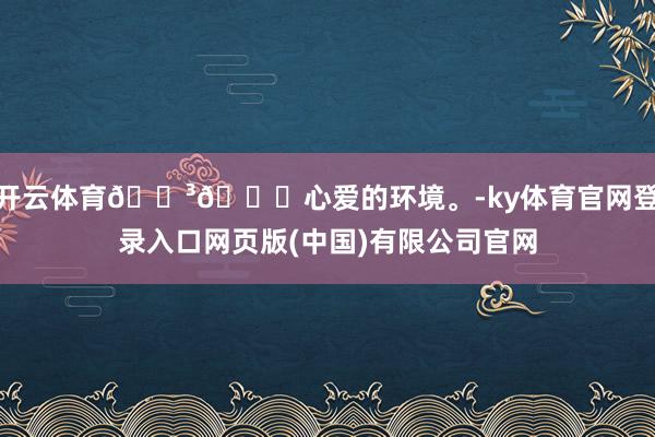 开云体育🌳🍃心爱的环境。-ky体育官网登录入口网页版(中国)有限公司官网