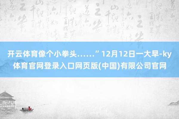开云体育像个小拳头……”12月12日一大早-ky体育官网登录入口网页版(中国)有限公司官网