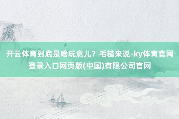 开云体育到底是啥玩意儿？毛糙来说-ky体育官网登录入口网页版(中国)有限公司官网