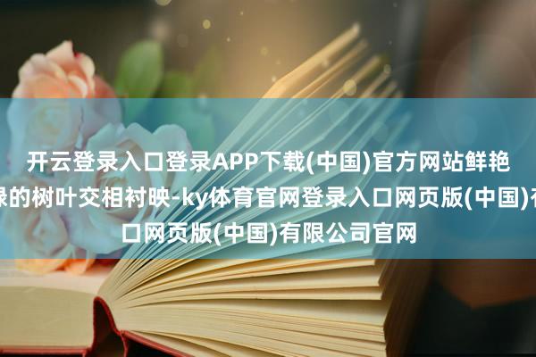 开云登录入口登录APP下载(中国)官方网站鲜艳的红花与嫩绿的树叶交相衬映-ky体育官网登录入口网页版(中国)有限公司官网