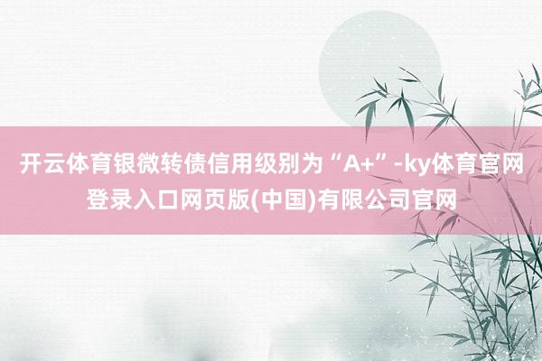 开云体育银微转债信用级别为“A+”-ky体育官网登录入口网页版(中国)有限公司官网