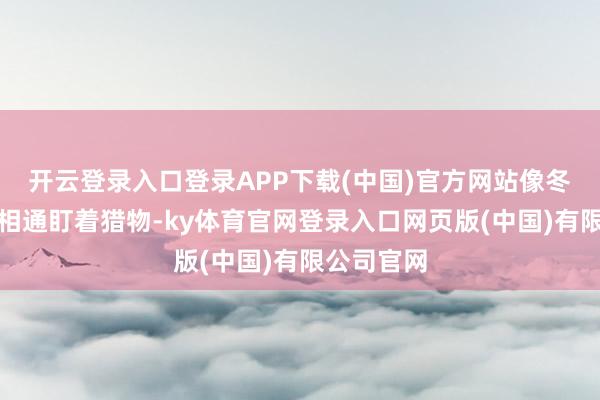 开云登录入口登录APP下载(中国)官方网站像冬眠的猎豹相通盯着猎物-ky体育官网登录入口网页版(中国)有限公司官网