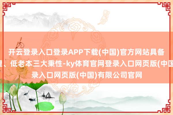 开云登录入口登录APP下载(中国)官方网站具备多模态、强推理、低老本三大秉性-ky体育官网登录入口网页版(中国)有限公司官网