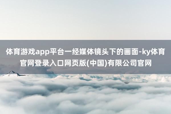 体育游戏app平台一经媒体镜头下的画面-ky体育官网登录入口网页版(中国)有限公司官网