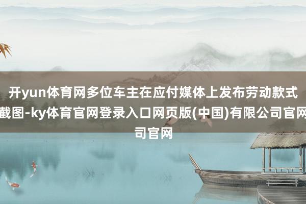 开yun体育网多位车主在应付媒体上发布劳动款式截图-ky体育官网登录入口网页版(中国)有限公司官网